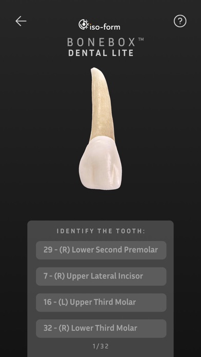 BoneBox™ - Dental Lite screenshot 1
