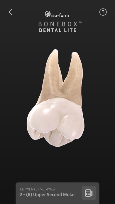 BoneBox™ - Dental Lite screenshot 2