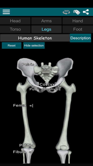 Bones 3D (Anatomy) screenshot 3