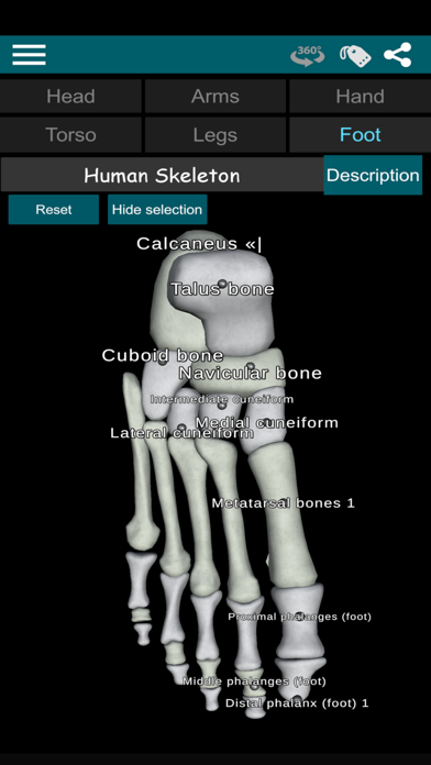 Bones 3D (Anatomy) screenshot 2