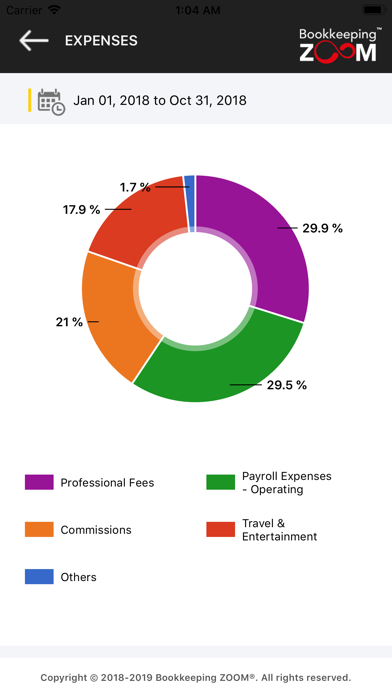 Bookkeeping ZOOM™ screenshot 2