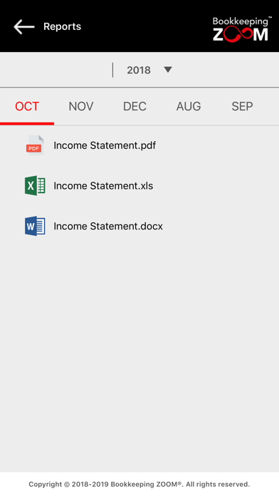 Bookkeeping ZOOM™ screenshot 1