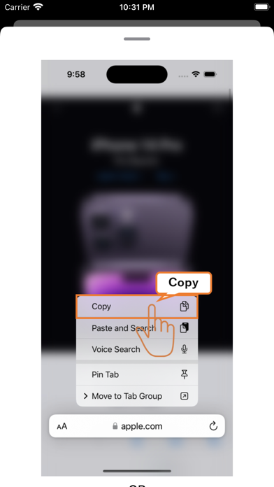 BookmarkApp-PasteURL screenshot 8