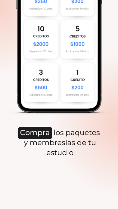 Boost Bookings screenshot 1