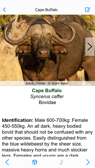 Botswana Wildlife Guide screenshot 2