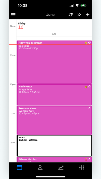 Boulevard Professional screenshot 3