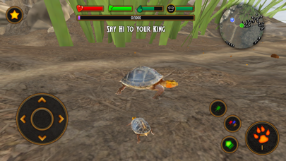 Box Turtle Simulator screenshot 3