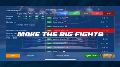Boxing Manager screenshot 2