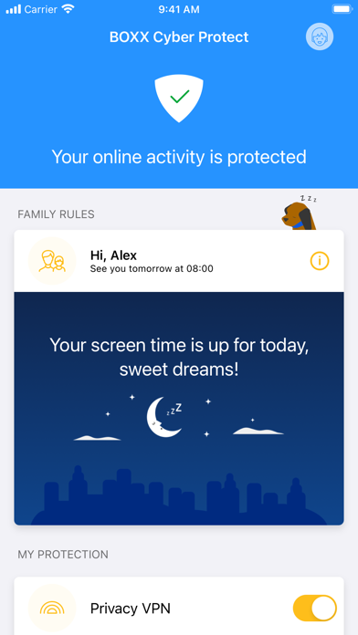 BOXX Protect screenshot 2