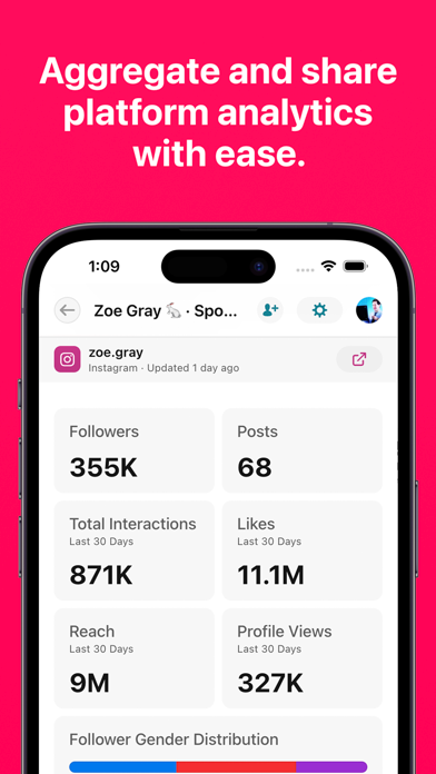 Braid Networks screenshot 3