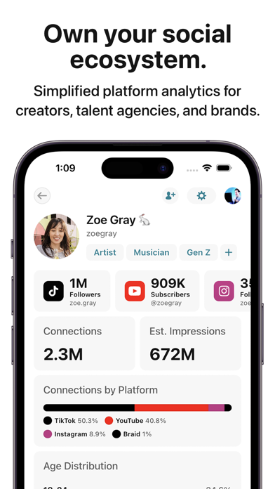 Braid Networks screenshot 4