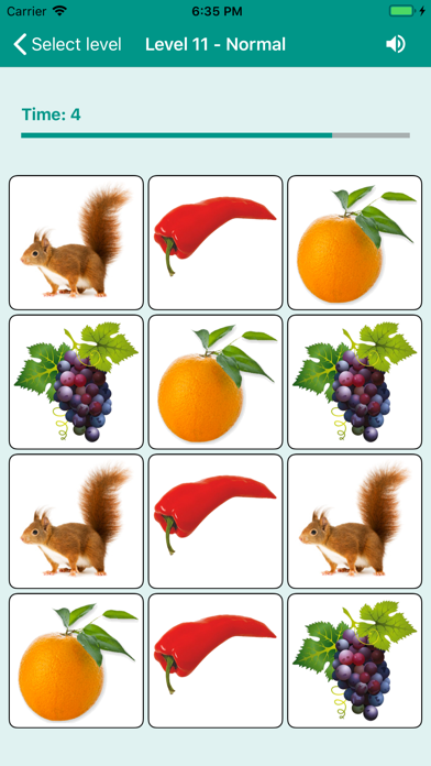 Brain game. Picture Match screenshot 3