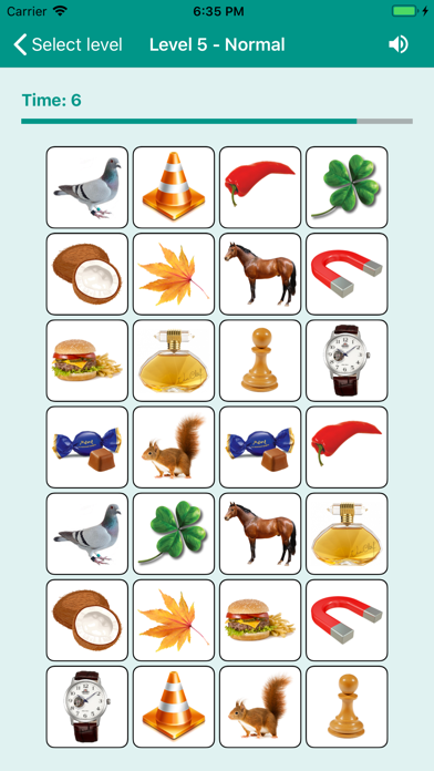 Brain game. Picture Match screenshot 4