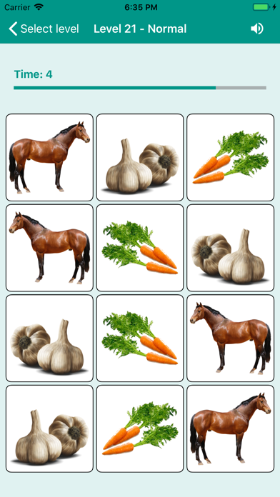 Brain game. Picture Match screenshot 2