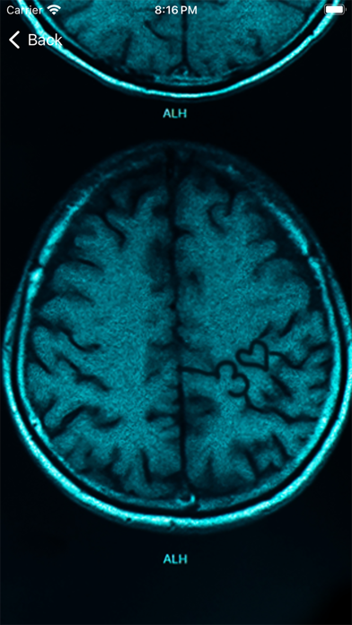 Brain Guessing Game screenshot 1
