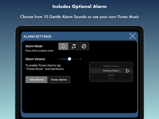 BrainWave: 37 Binaural Series™ screenshot 3