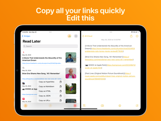 Bridges: Link Formatting screenshot 5