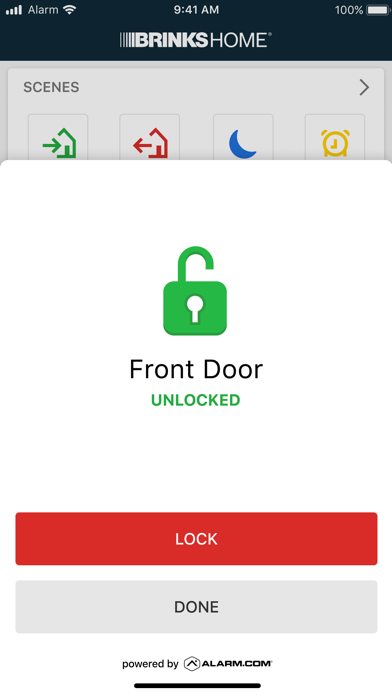 Brinks Home screenshot 4