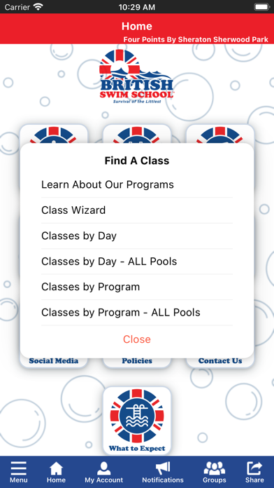 British Swim School screenshot 5