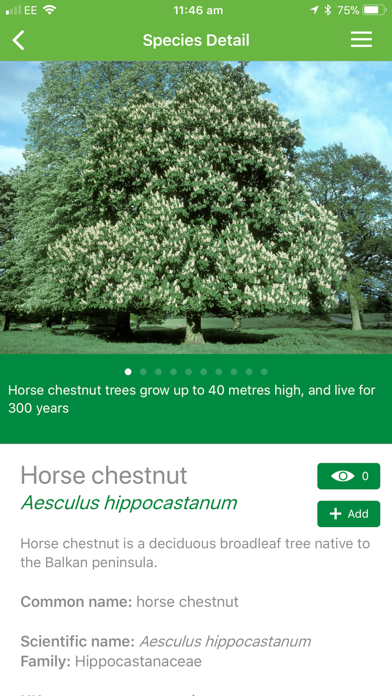 British tree identification screenshot 4