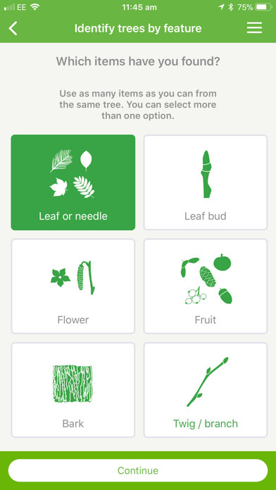 British tree identification screenshot 6