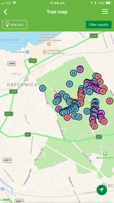 British tree identification screenshot 3