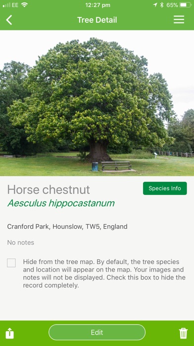 British tree identification screenshot 1