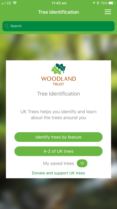 British tree identification screenshot 7
