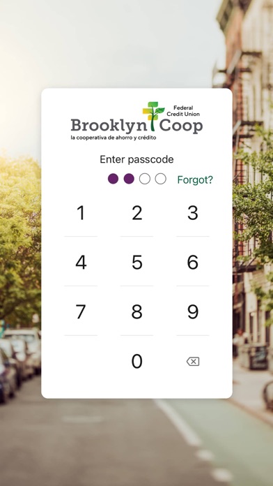 Brooklyn Cooperative FCU screenshot 3