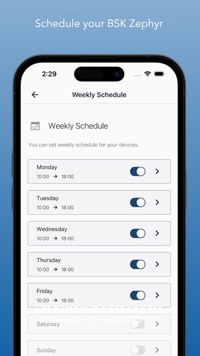 BSK Zephyr screenshot 2