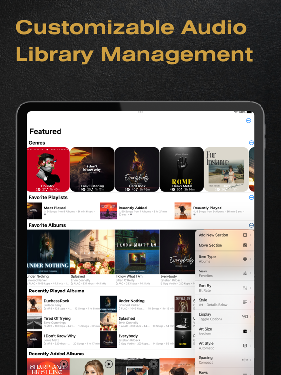BTR AMP Advanced Music Player screenshot 9