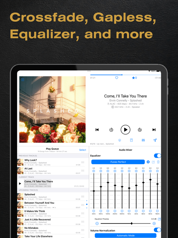 BTR AMP Advanced Music Player screenshot 4