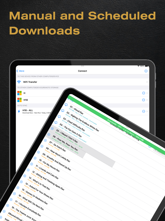 BTR AMP Advanced Music Player screenshot 3
