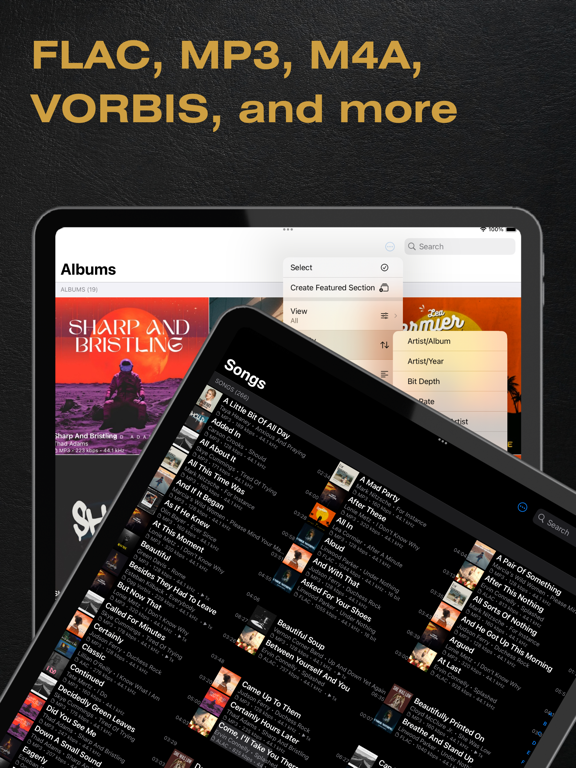 BTR AMP Advanced Music Player screenshot 5