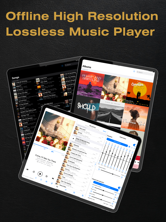 BTR AMP Advanced Music Player screenshot 10