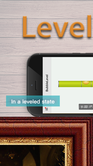 Bubble Level & Ruler Measure screenshot 5
