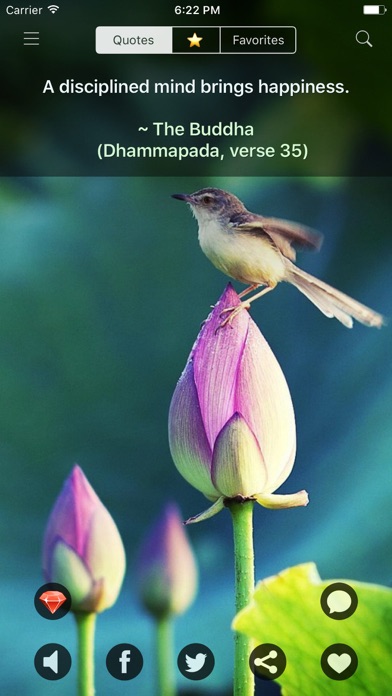 Buddha Quotes: Buddhist Wisdom screenshot 5