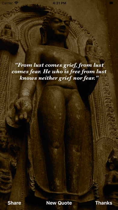 Buddha Wisdom screenshot 1