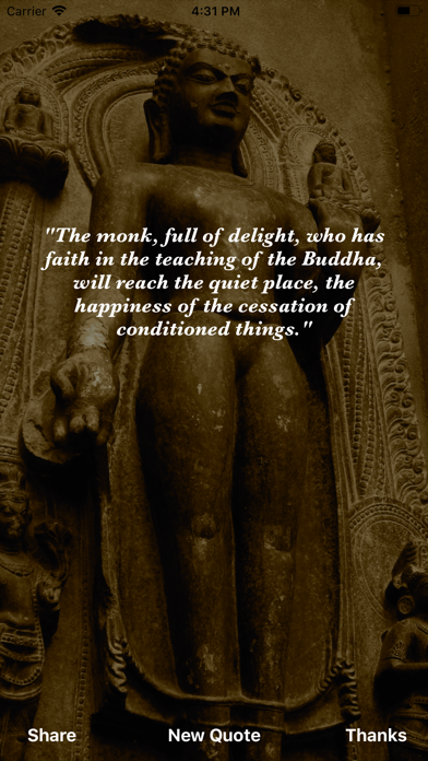 Buddha Wisdom screenshot 3