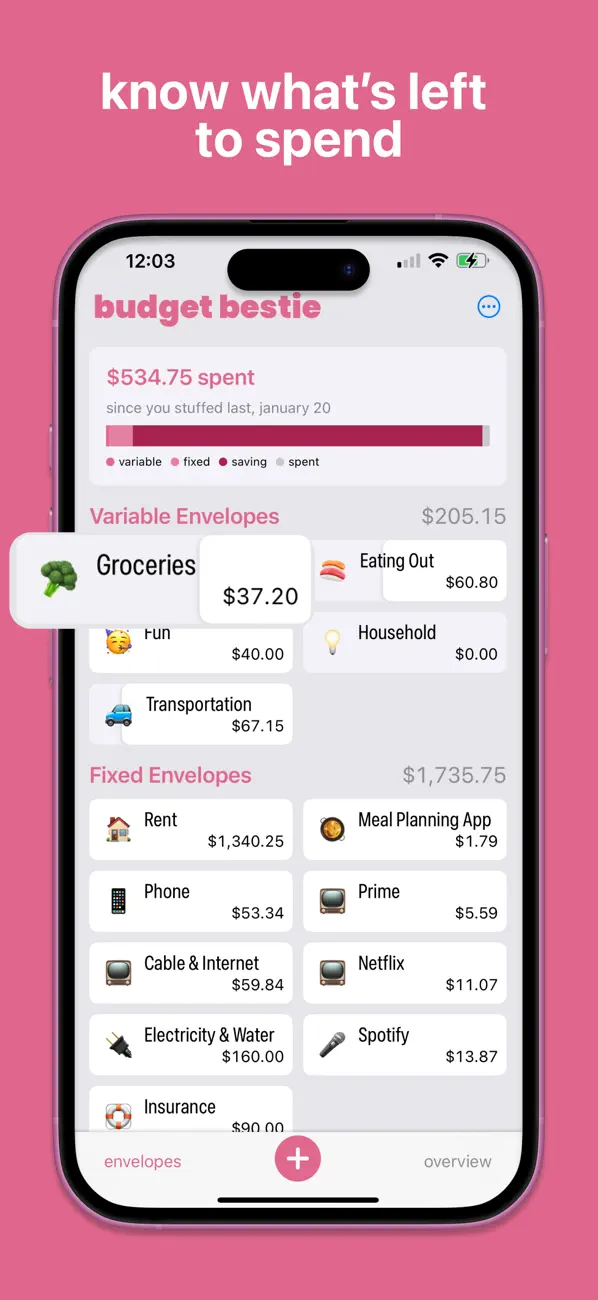 Budget Bestie screenshot 3
