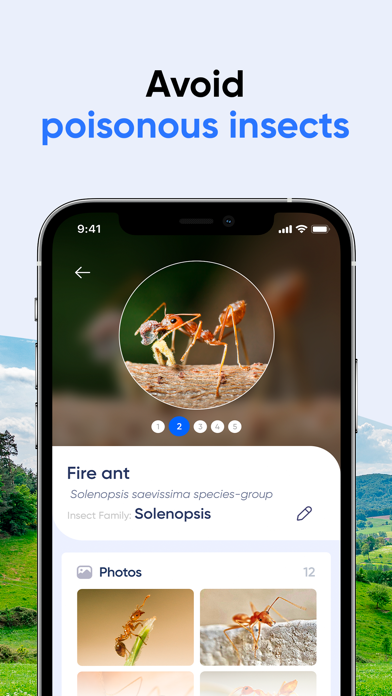 Bug Identifier: AI Insect id screenshot 8