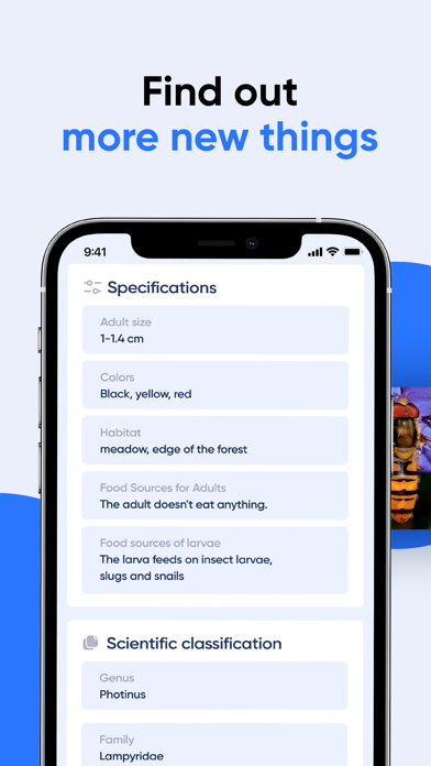 Bug Identifier: AI Insect id screenshot 1