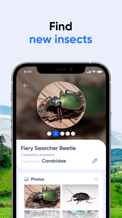 Bug Identifier: AI Insect id screenshot 5
