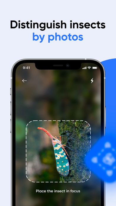 Bug Identifier: AI Insect id screenshot 3