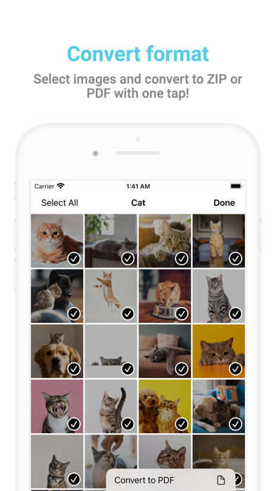 Bulk Image Saver - Picket screenshot 2