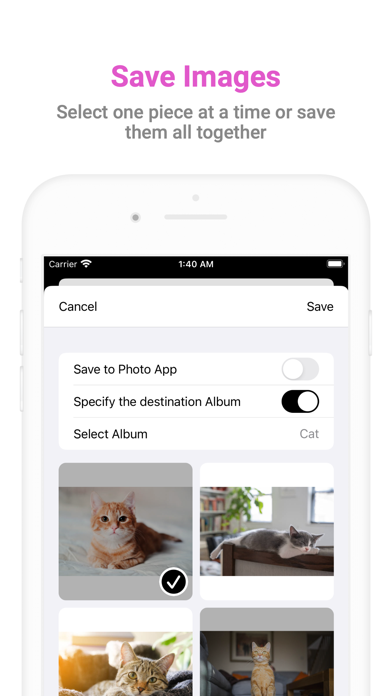 Bulk Image Saver - Picket screenshot 4