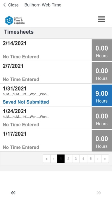 Bullhorn Time & Expense Mobile screenshot 2
