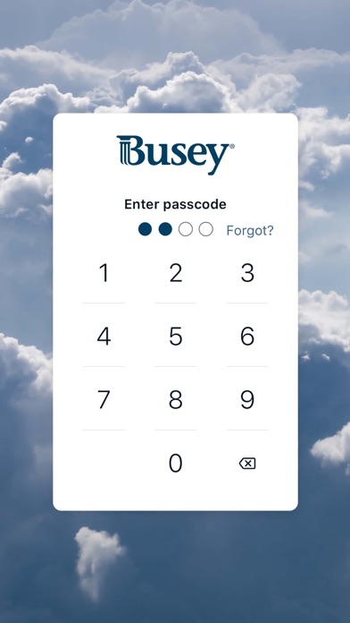 Busey - Mobile screenshot 4