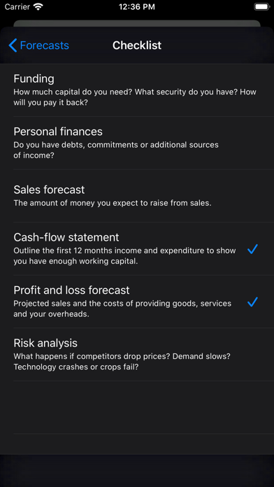 Business Plan screenshot 3