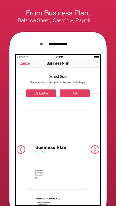 Business Templates for Pages screenshot 4